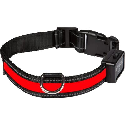 Collier Lumineux pour Chien Eyenimal - Grand - Publicité Collier Lumineux pour Chien Eyenimal - Grand - Publicité