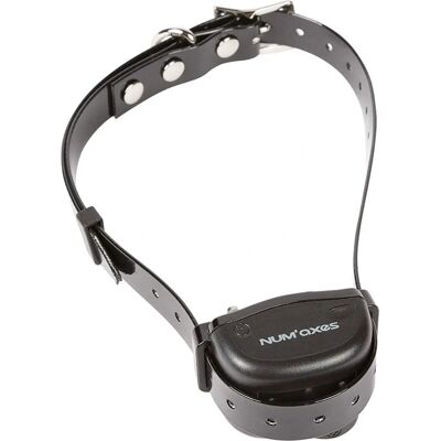 Collier anti-aboîement Canicalm Smart Contrôle Bluetooth - Publicité Collier anti-aboîement Canicalm Smart Contrôle Bluetooth - Publicité