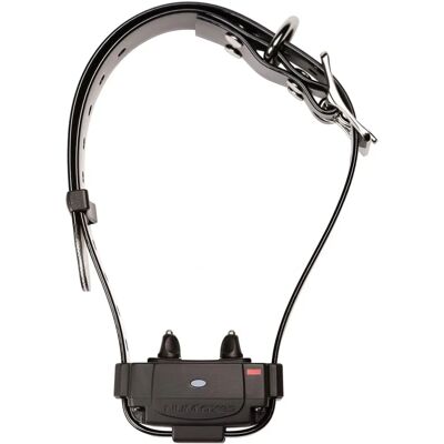 NUM'AXES FUG1034 - Collier anti-fugue noir - Collier pour chien - Publicité NUM'AXES FUG1034 - Collier anti-fugue noir - Collier pour chien - Publicité