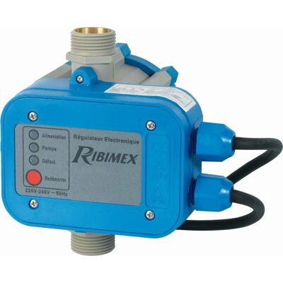 Ribimex PRPCONTROLP Controllo pompa d'acqua - Regolatore elettronico IP65 Ribimex PRPCONTROLP Controllo pompa d'acqua - Regolatore elettronico IP65