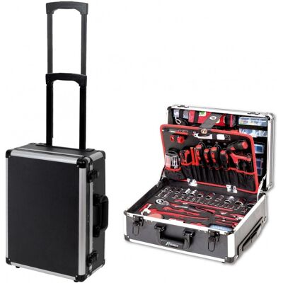 Ribimex Modelo PRKOUT356VAR - Juego de herramientas mecánicas de 356 piezas Ribimex Modelo PRKOUT356VAR - Juego de herramientas mecánicas de 356 piezas