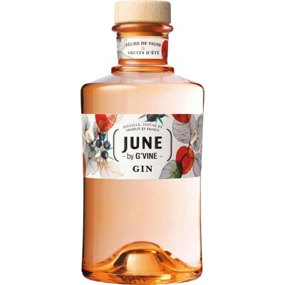 G'Vine June Wild Peach & Summer Fruits Gin - Gin G'Vine June Wild Peach & Summer Fruits Gin - Gin