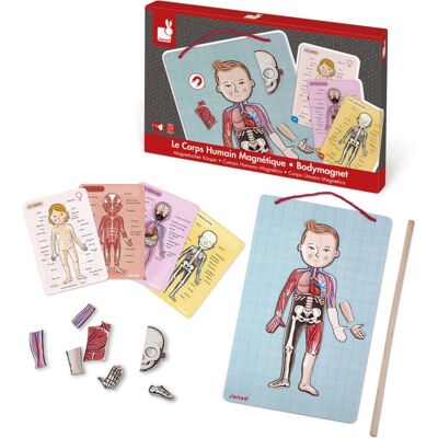 Janod J05491 Puzzle Magnetico Corpo Umano - Gioco Educativo Janod J05491 Puzzle Magnetico Corpo Umano - Gioco Educativo