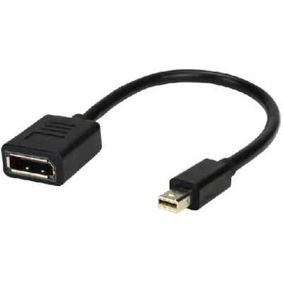 MCL MC396-0.15M Mini DisplayPort auf DisplayPort Kabel - Schwarz MCL MC396-0.15M Mini DisplayPort auf DisplayPort Kabel - Schwarz