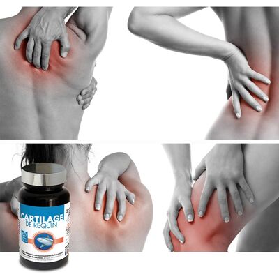 Nutri Expert Cartilage de requin - 60 gélules végétales - Publicité Nutri Expert Cartilage de requin - 60 gélules végétales - Publicité