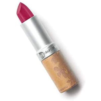 Couleur Caramel Rouge à Lèvres Mat - No262 - Lipstick - Publicité Couleur Caramel Rouge à Lèvres Mat - No262 - Lipstick - Publicité