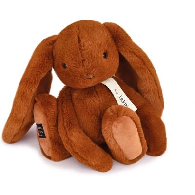 Histoire d'Ours Modello Marrone - Peluche per neonati Histoire d'Ours Modello Marrone - Peluche per neonati