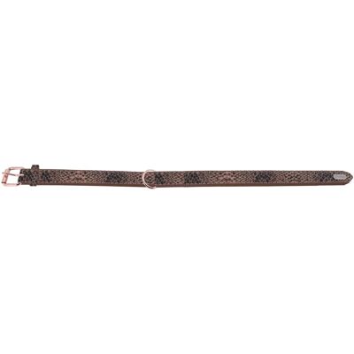 Shiny Python Collier T20 - Collier Shiny Python Collier T20 - Collier