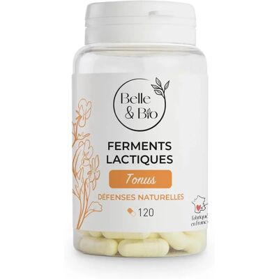 Belle & Bio Probióticos con 10 Cepas - 120 Cápsulas Belle & Bio Probióticos con 10 Cepas - 120 Cápsulas