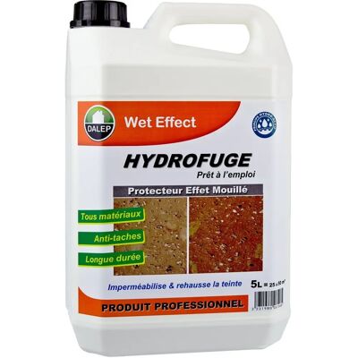 DALEP Protecteur Imperméabilisant - Effet Humide - 5L - Publicité DALEP Protecteur Imperméabilisant - Effet Humide - 5L - Publicité