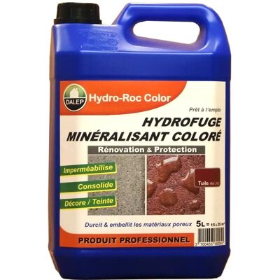 DALEP - Hydro Roc - Sable - 5 L - Sealer - Publicité DALEP - Hydro Roc - Sable - 5 L - Sealer - Publicité