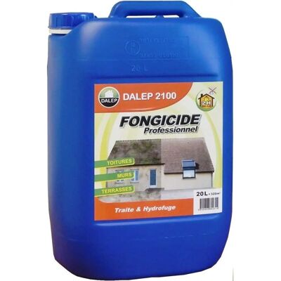 DALEP 2100 Concentré Fongicide et Antimousse - Publicité DALEP 2100 Concentré Fongicide et Antimousse - Publicité