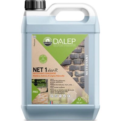 Dalep Limpiador Concentrado Natural - Botella de 5L - Todas las Superficies Dalep Limpiador Concentrado Natural - Botella de 5L - Todas las Superficies
