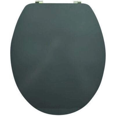 MSV - 3700703956624 - MDF - Gris - Asiento de inodoro MSV - 3700703956624 - MDF - Gris - Asiento de inodoro