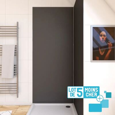 Paneles de Pared Gris PACP285 de Aurlane - Ducha Paneles de Pared Gris PACP285 de Aurlane - Ducha
