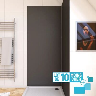 Aurlane PACP286 Paneles de Pared Grises - Ducha Aurlane PACP286 Paneles de Pared Grises - Ducha