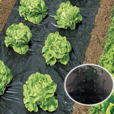 WERKA PRO Film for mulching - Film for mulching WERKA PRO Film for mulching - Film for mulching