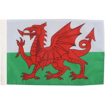 AZ FLAG - Welsh Flag 45x30 cm - 100D polyester - Eyelet - Flag AZ FLAG - Welsh Flag 45x30 cm - 100D polyester - Eyelet - Flag