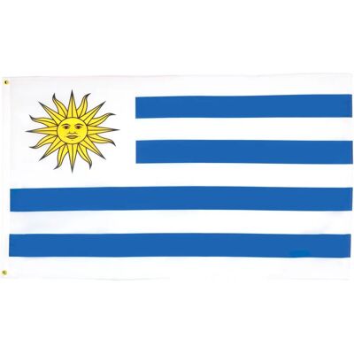 AZ FLAG - Drapeau de l'Uruguay - 150x90 cm - Polyester - Drapeau - Publicité AZ FLAG - Drapeau de l'Uruguay - 150x90 cm - Polyester - Drapeau - Publicité