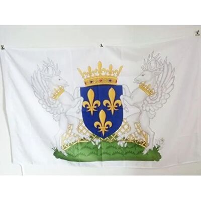 Az Flag Blason Royaume De France Charles VII - 150x90cm Flag Az Flag Blason Royaume De France Charles VII - 150x90cm Flag