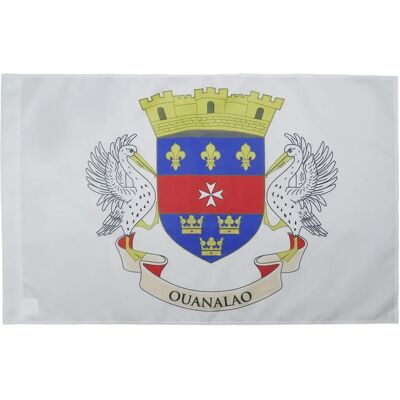 Drapeau Saint-Barthélemy 150x90cm - AZ FLAG avec Bords Renforcés - Publicité Drapeau Saint-Barthélemy 150x90cm - AZ FLAG avec Bords Renforcés - Publicité