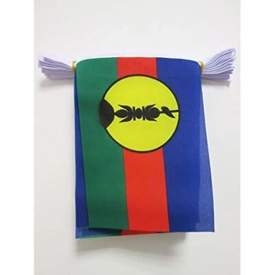 AZ Flag - Nouvelle Calédonie - 6m - 20 vlaggen - Flag garland AZ Flag - Nouvelle Calédonie - 6m - 20 vlaggen - Flag garland
