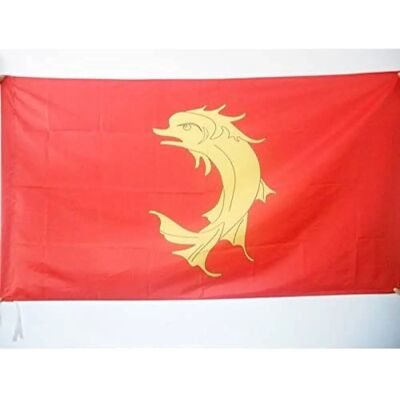 AZ Flag - Forez Saint-Etienne - 150x90 cm - Drapeau - Publicité AZ Flag - Forez Saint-Etienne - 150x90 cm - Drapeau - Publicité