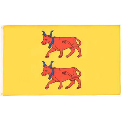 Az Flag - Béarn Province Flag - 150x90cm - Polyester - Flag Az Flag - Béarn Province Flag - 150x90cm - Polyester - Flag