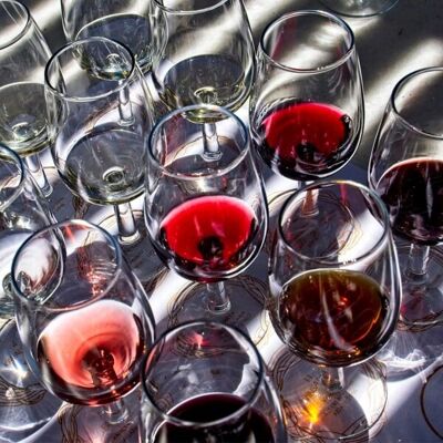 Lehmann ISO Vinprøvningsglas 21cl - Standardiseret krystal Lehmann ISO Vinprøvningsglas 21cl - Standardiseret krystal