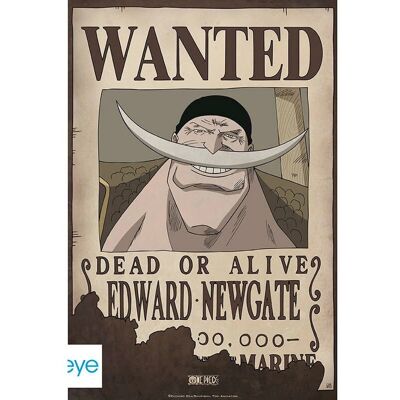 ABYstyle Edward Newgate Piratenscherm - 52x35cm ABYstyle Edward Newgate Piratenscherm - 52x35cm