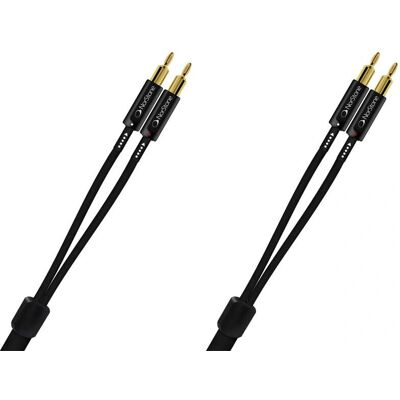 Câble Enceintes Norstone Arran MC - Audio Haute Résolution - Publicité Câble Enceintes Norstone Arran MC - Audio Haute Résolution - Publicité