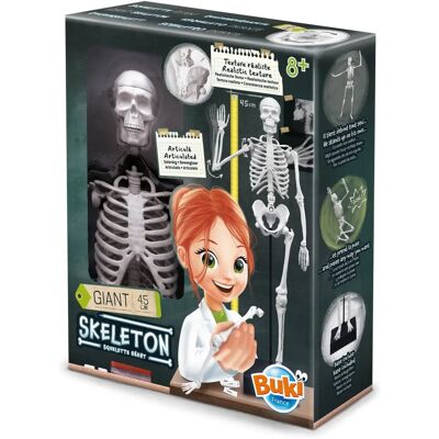Buki Skelett 45cm Weiß - Anatomie Lernspielzeug Buki Skelett 45cm Weiß - Anatomie Lernspielzeug