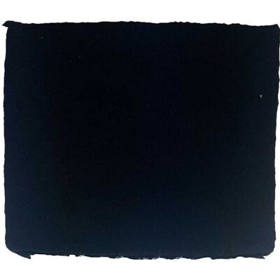 Filtro a carbone Ariston Hotpoint - Filtro per cappa Filtro a carbone Ariston Hotpoint - Filtro per cappa