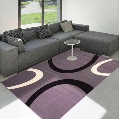 Tapis gris 80x150 Dezenco - Moderne tapis en polypropylène - Publicité Tapis gris 80x150 Dezenco - Moderne tapis en polypropylène - Publicité