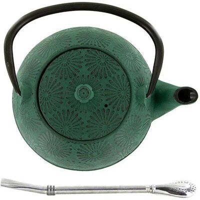 Théière Hanami Vert Émeraude 1,2L avec Filtre Inox - Publicité Théière Hanami Vert Émeraude 1,2L avec Filtre Inox - Publicité