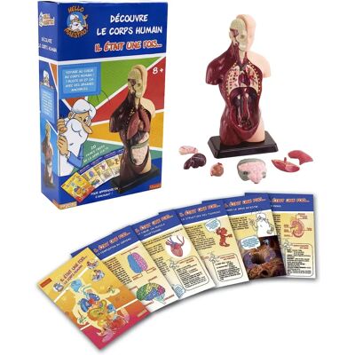 Upyaa 430357 - Buste d'Anatomie du Corps Humain Jeu Scientifique - Publicité Upyaa 430357 - Buste d'Anatomie du Corps Humain Jeu Scientifique - Publicité