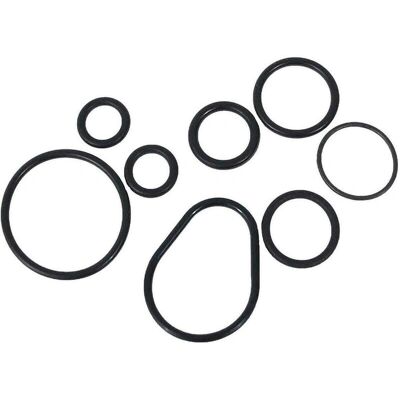 PENTAIR - Kit di O-ring per valvola Fleck 4600/5600 PENTAIR - Kit di O-ring per valvola Fleck 4600/5600