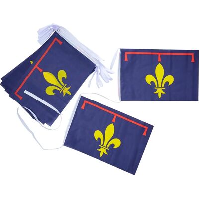 Az Flag - Provence - 12m - 20 drapeaux - Guirlande de drapeaux - Publicité Az Flag - Provence - 12m - 20 drapeaux - Guirlande de drapeaux - Publicité