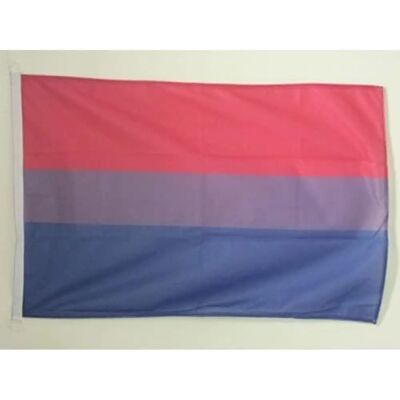 Az Flag - Bisex Rainbow 60x90 - Rainbow - 60x90 cm - Flag - Publicité Az Flag - Bisex Rainbow 60x90 - Rainbow - 60x90 cm - Flag - Publicité