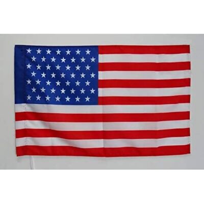 AZ Flag - US Flag 1959-1960 49 Étoiles - 150x90cm - Vintage - Drapeau - Publicité AZ Flag - US Flag 1959-1960 49 Étoiles - 150x90cm - Vintage - Drapeau - Publicité