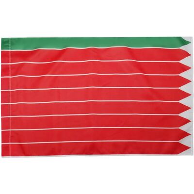 Bandiera della Provincia di Zamora - 90x60cm - Az Flag Bandiera della Provincia di Zamora - 90x60cm - Az Flag