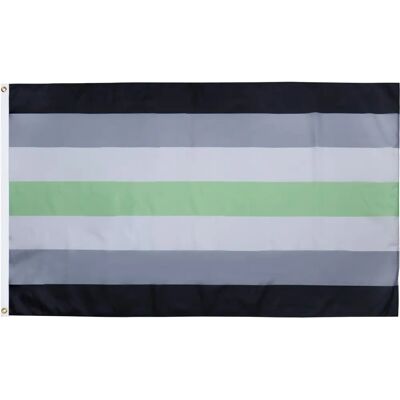 LGBT Pride-vlag - Genderqueer 150x90cm LGBT Pride-vlag - Genderqueer 150x90cm