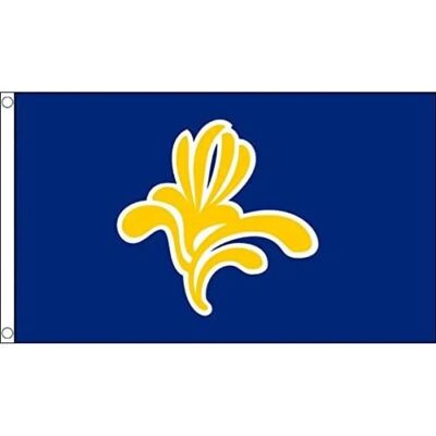 AZ FLAG - Drapeau Bruxelles Capitale - 150x90cm - Drapeau - Publicité AZ FLAG - Drapeau Bruxelles Capitale - 150x90cm - Drapeau - Publicité