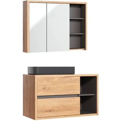 Conjunto de baño PETITS-MEUBLES - Rigel lavabo y armario con espejo Conjunto de baño PETITS-MEUBLES - Rigel lavabo y armario con espejo