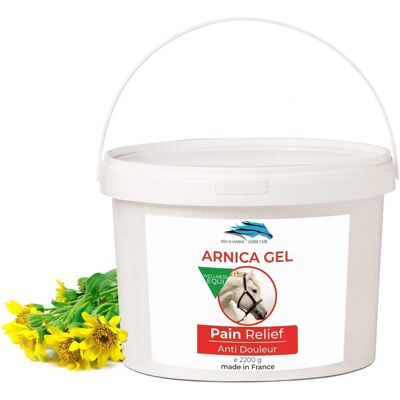 Gel pour muscles et articulations du cheval - Arnica Montana - Apaisant - 2200g Gel pour muscles et articulations du cheval - Arnica Montana - Apaisant - 2200g