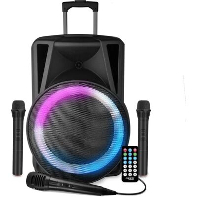 FestiSound - FESTI15 - woofer 38 cm - Haut-parleur - Publicité FestiSound - FESTI15 - woofer 38 cm - Haut-parleur - Publicité