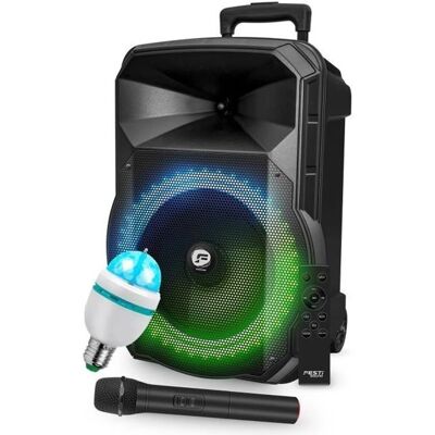 FestiSound - PICO08 - Anneau LED RVB - 200W - Speaker - Publicité FestiSound - PICO08 - Anneau LED RVB - 200W - Speaker - Publicité