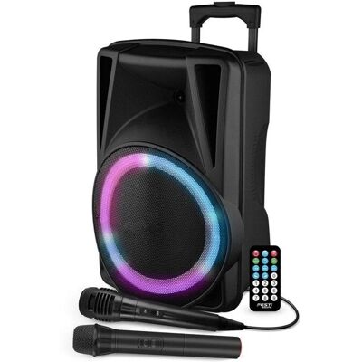 FestiSound - FESTI12 - 12in 31cm - 600W - Haut-parleur - Publicité FestiSound - FESTI12 - 12in 31cm - 600W - Haut-parleur - Publicité