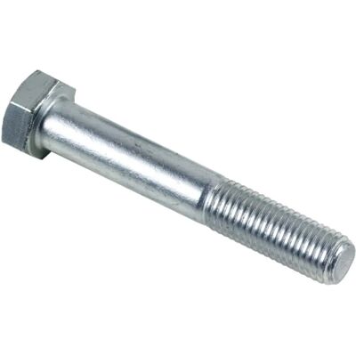 Lennie Witte verzinkte bout - 16x60 - Doos van 25 - Bout Lennie Witte verzinkte bout - 16x60 - Doos van 25 - Bout