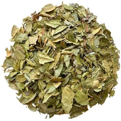 France Herboristerie Tisane Feuilles de Boldo - Tisane - Publicité France Herboristerie Tisane Feuilles de Boldo - Tisane - Publicité